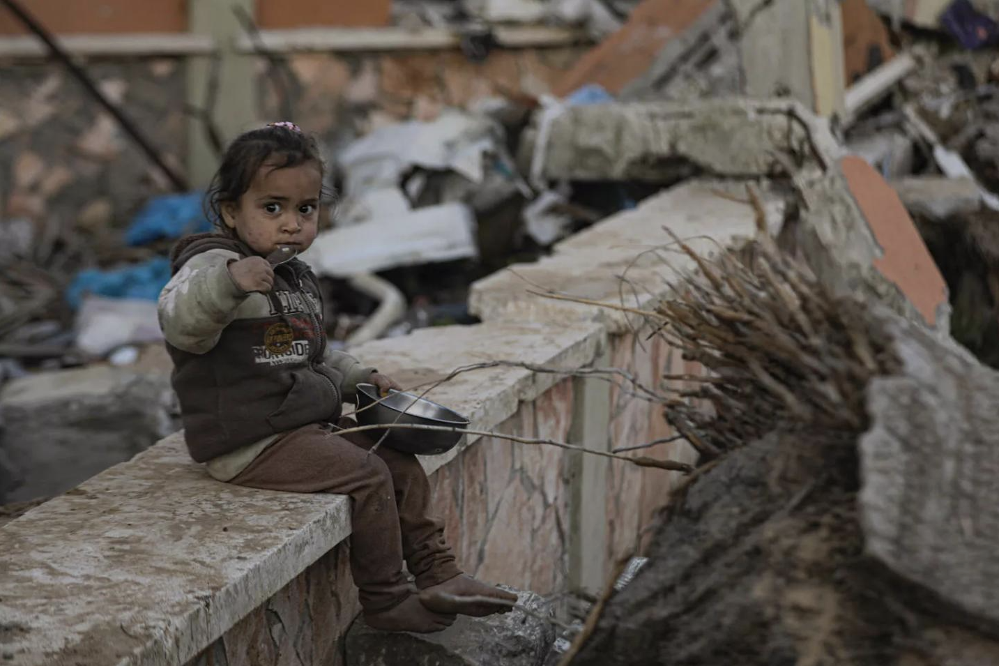 36 MEPs demand end of Israel trade agreement now to stop the Gaza genocide